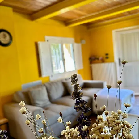 住宿加早餐酒店 Ca' Viola *