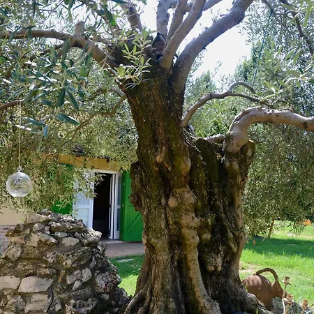 Ca' Viola 住宿加早餐酒店