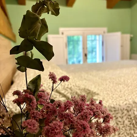 Ca' Viola Bed and breakfast San Pietro in Trento