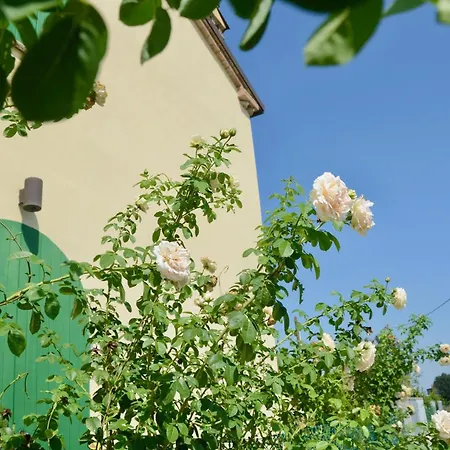 Ca' Viola 住宿加早餐酒店 *