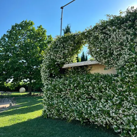 Bed and breakfast Ca' Viola