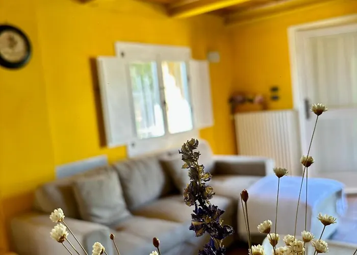 Alojamento de Acomodação e Pequeno-almoço Ca' Viola *