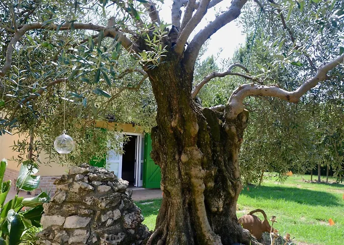 Ca' Viola Bed & Breakfast