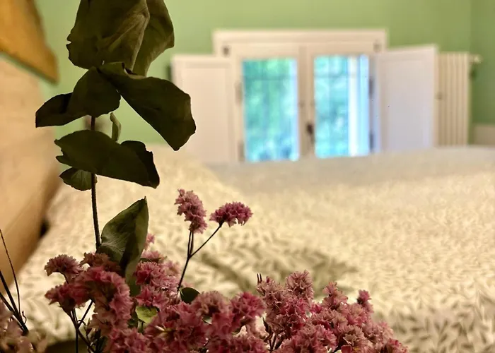 Ca' Viola Bed & Breakfast San Pietro in Trento