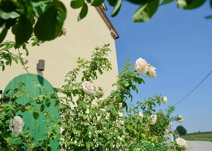 Ca' Viola Bed & Breakfast *