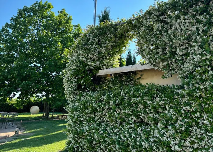 Bed & Breakfast Ca' Viola